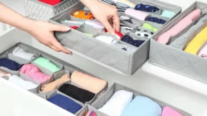 Mania de limpeza e organização